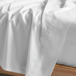 Linen House Augusta 500TC White Queen Flat Sheet 01721D052 hero image