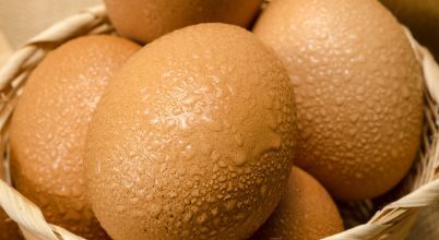 Eggs wet with condensation