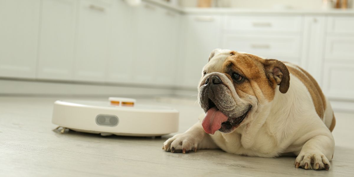 Image featured in the Appliances Online blog