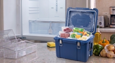 Frozen food in a cooler box