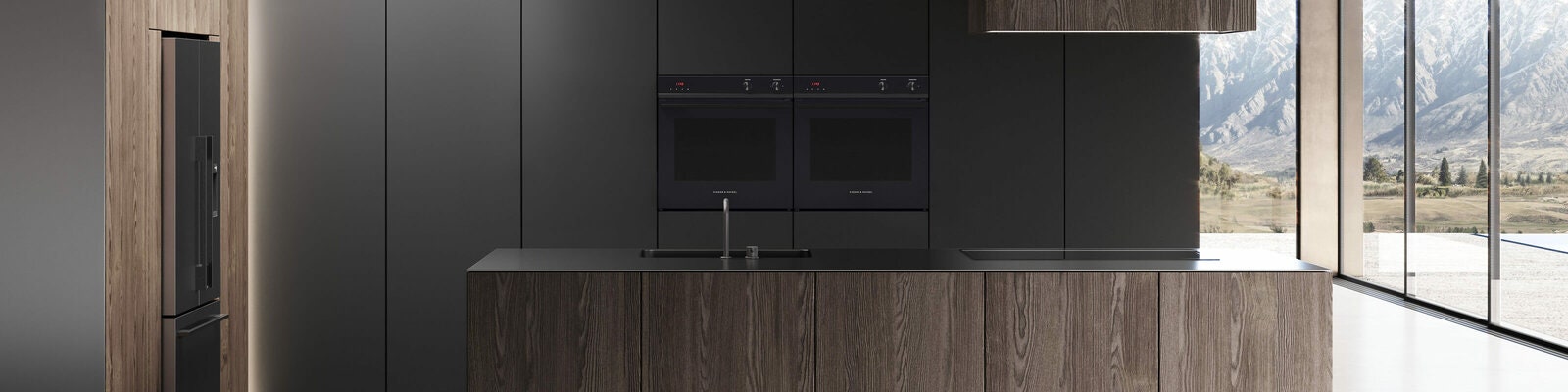 Fisher and Paykel