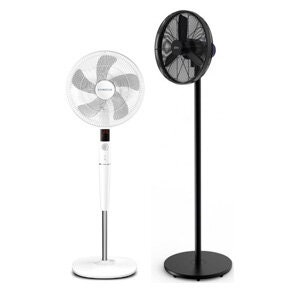 Pedestal Fans