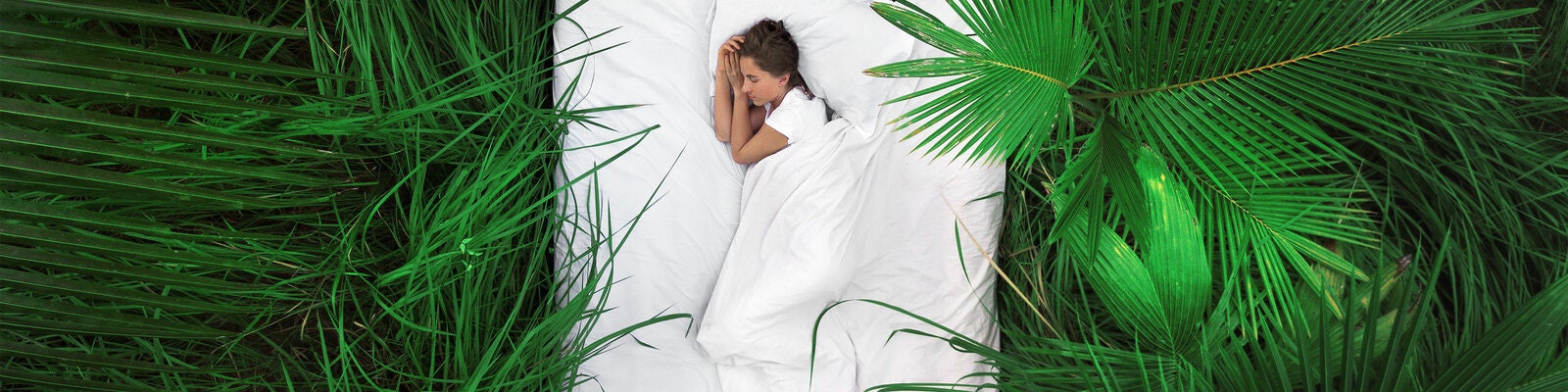 Australian Bedding Stewardship Council