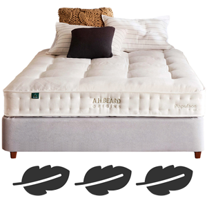 Plush Double Mattresses