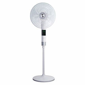 Pedestal Fans